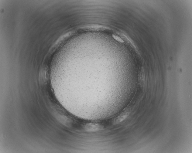 X0000081320119200701251818
