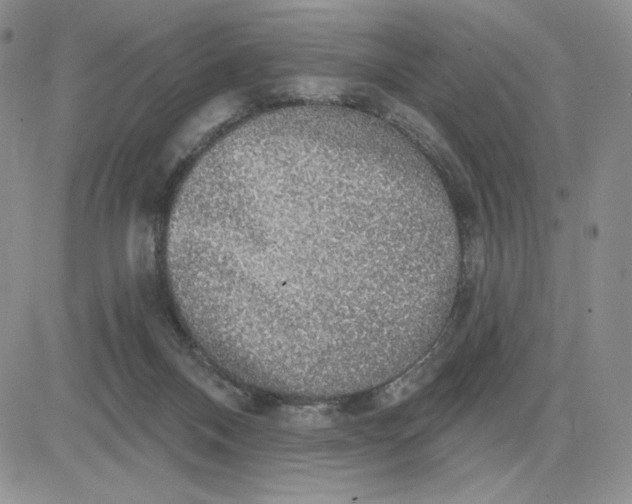X0000081320120200701251818