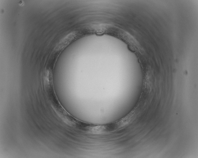 X0000081320122200701251818