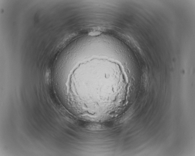 X0000081320123200701251818