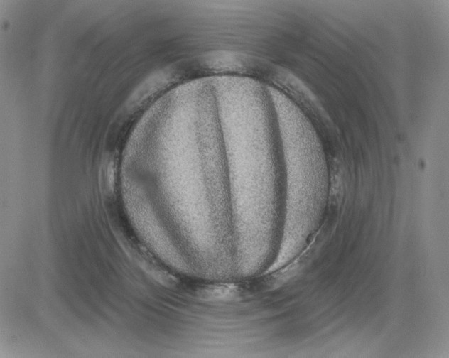 X0000081320124200701251818