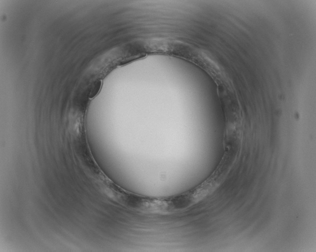 X0000081320125200701251818