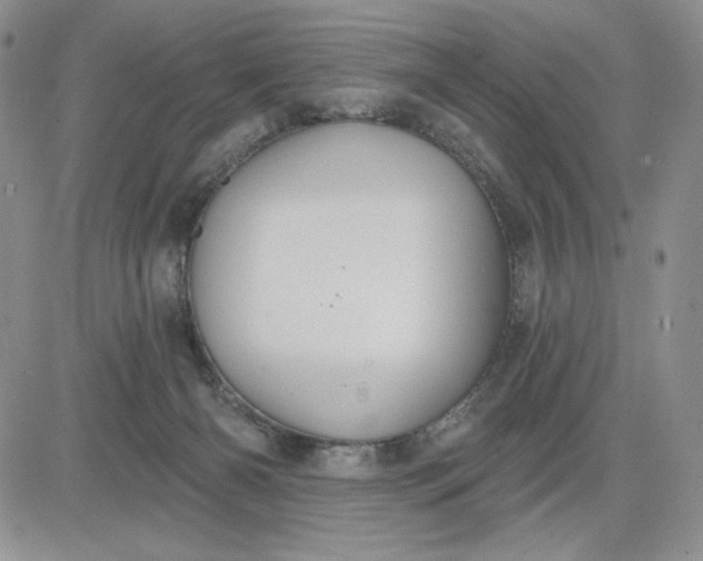 X0000081320126200701251818