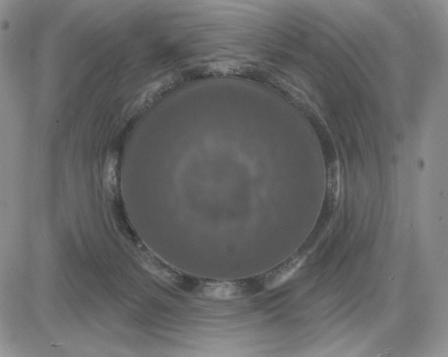 X0000081320127200701251818