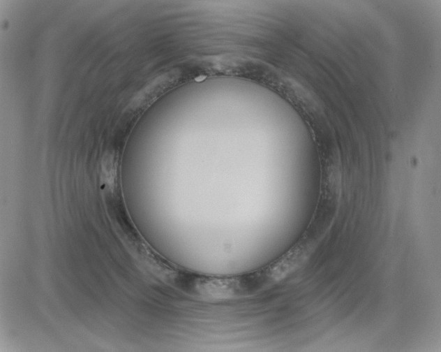 X0000081320129200701251818