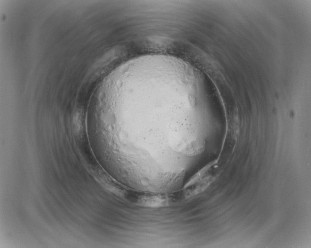X0000081320131200701251817