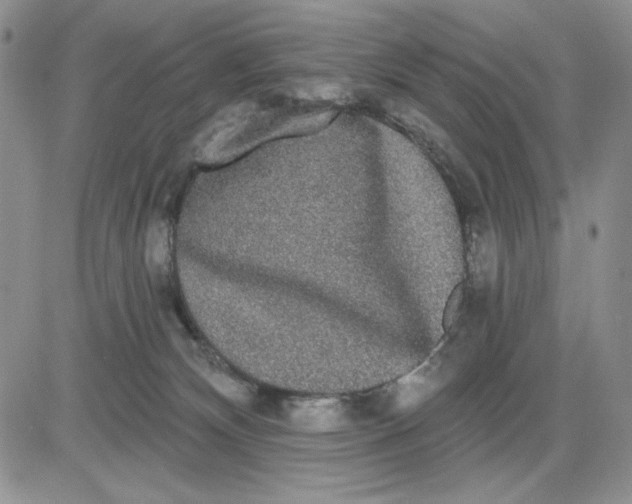 X0000081320132200701251817