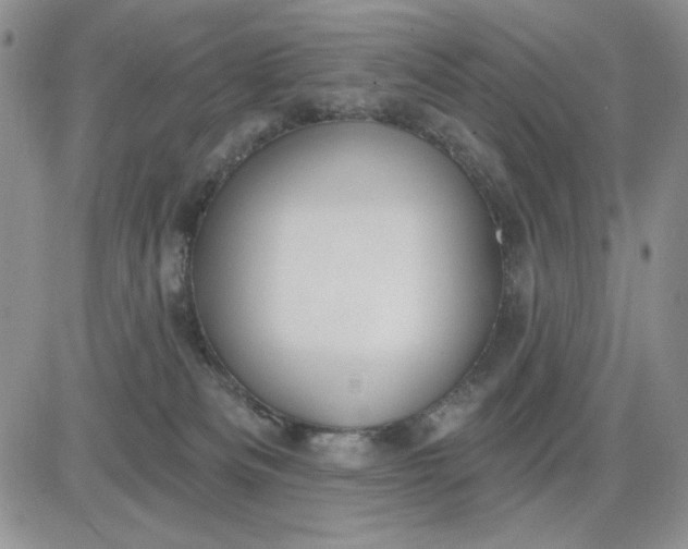 X0000081320133200701251817