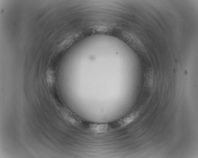 X0000081320135200701251817