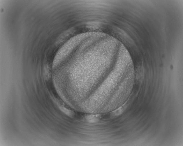 X0000081320136200701251817