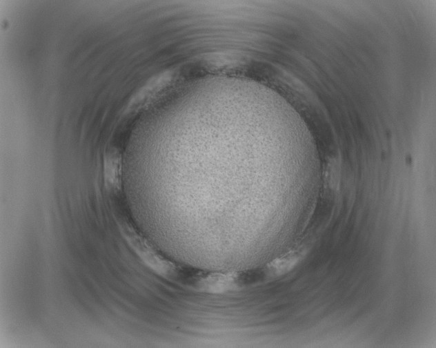 X0000081320138200701251817