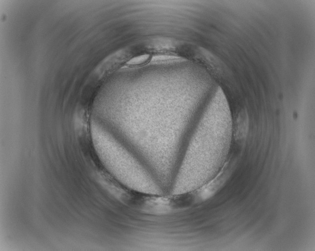 X0000081320140200701251817