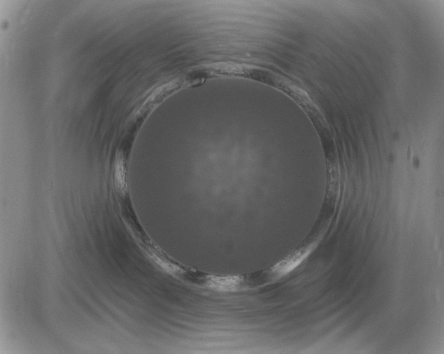 X0000081320143200701251817