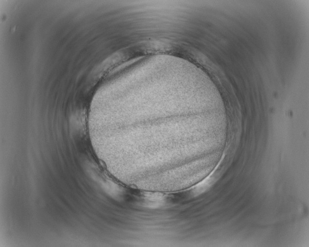 X0000081320144200701251817
