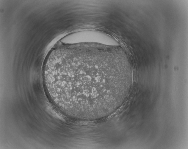 X0000081320147200701251817