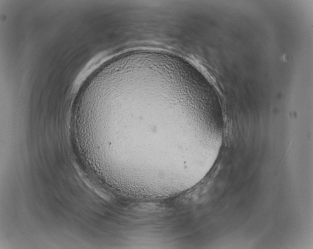 X0000081320151200701251817