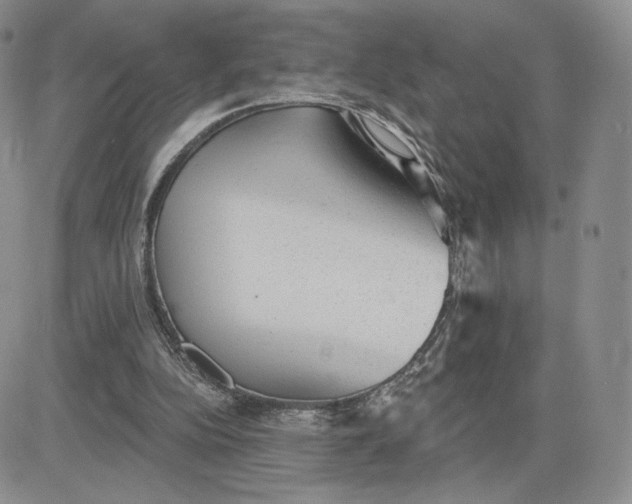 X0000081320152200701251817