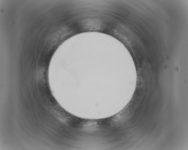 X0000081320162200701251817