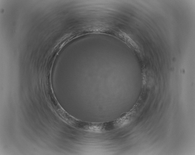 X0000081320163200701251817