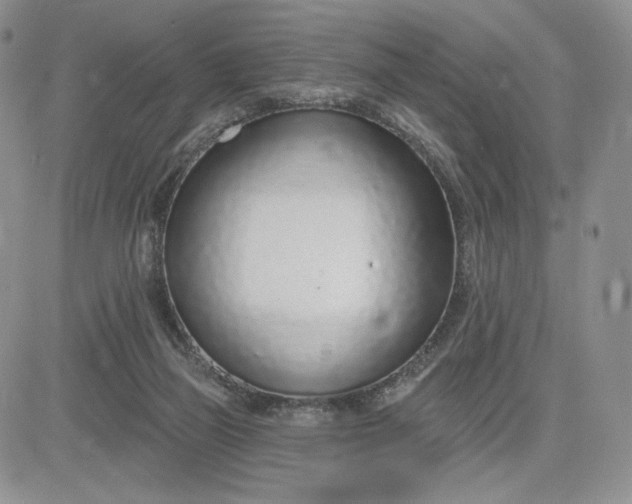 X0000081320165200701251817