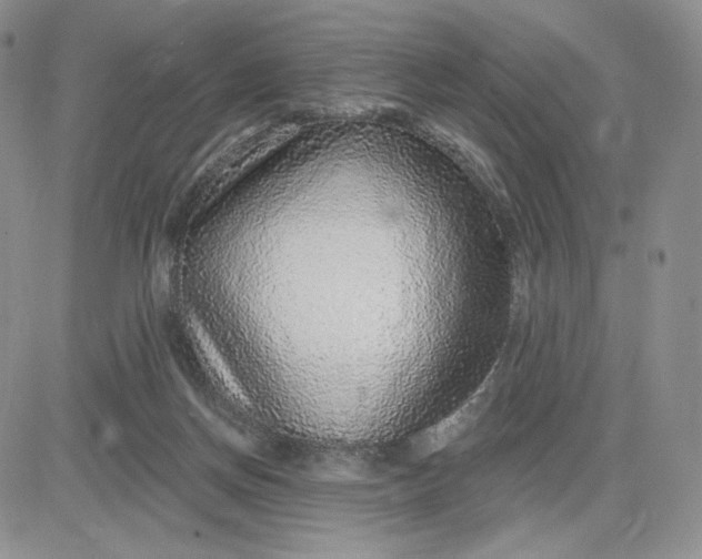 X0000081320166200701251817