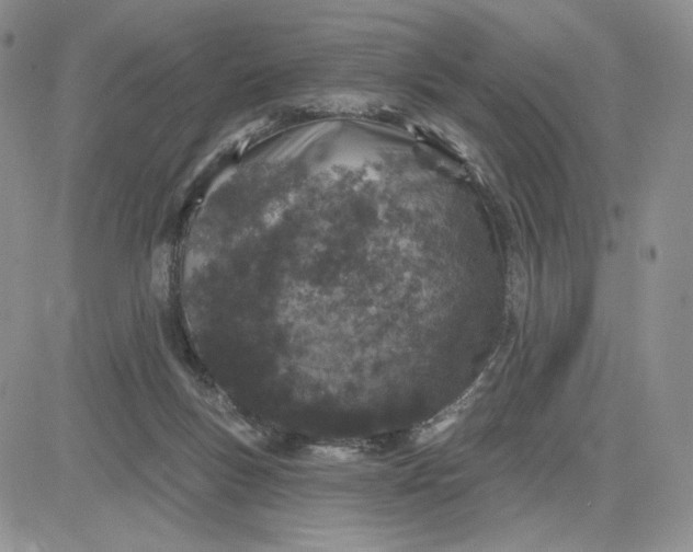 X0000081320167200701251817