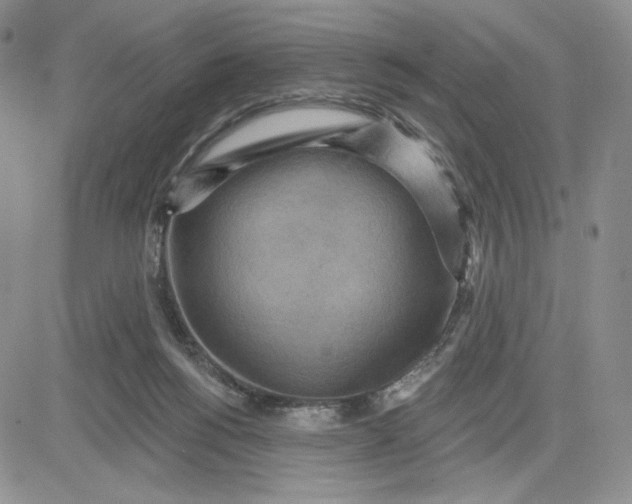 X0000081320168200701251817