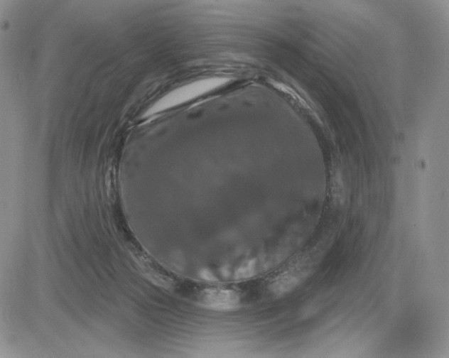 X0000081320169200701251817