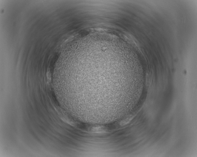 X0000081320173200701251817