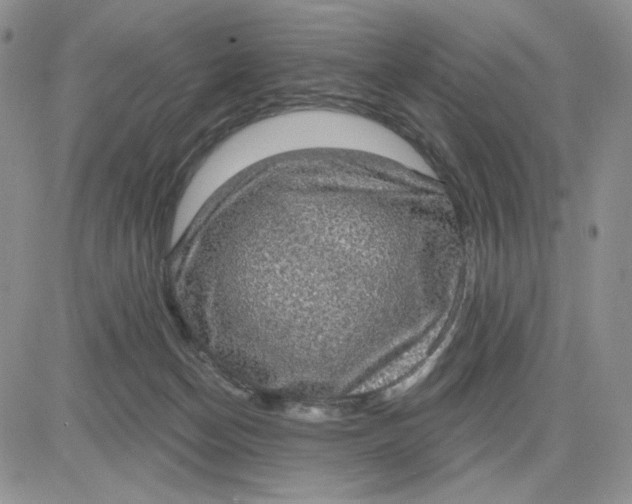 X0000081320174200701251817