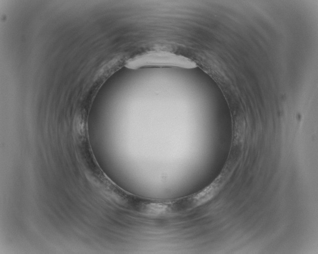 X0000081320176200701251817