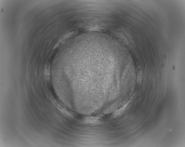X0000081320179200701251817