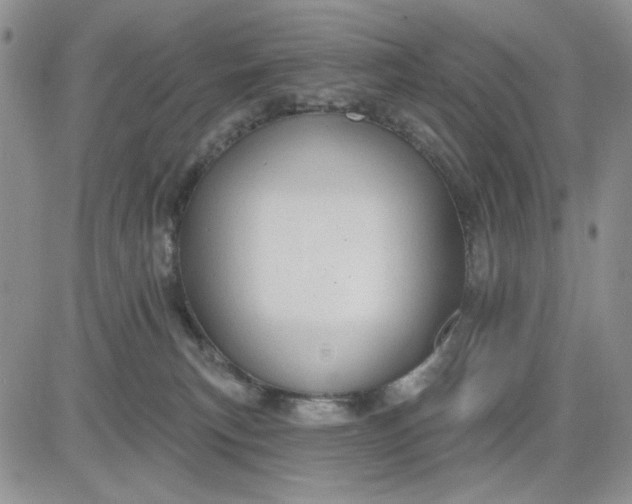 X0000081320183200701251817