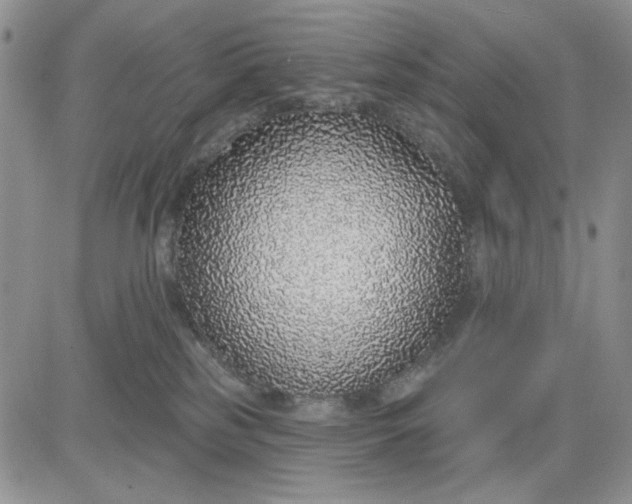 X0000081320185200701251817