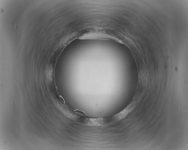 X0000081320188200701251817