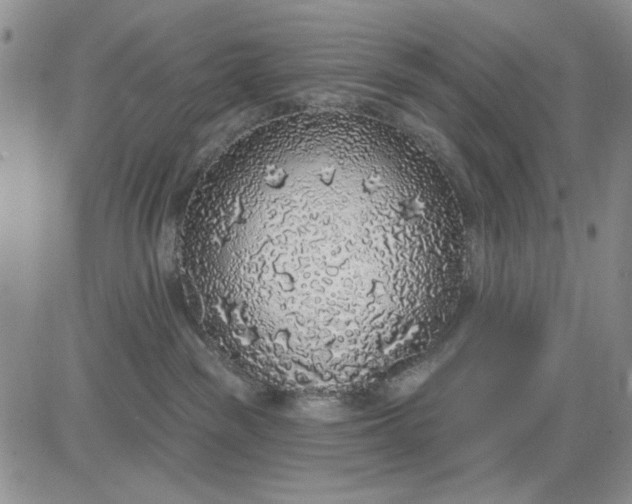 X0000081320189200701251817