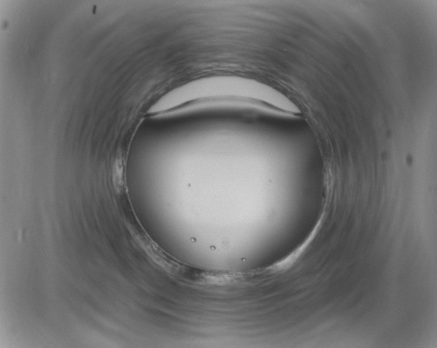 X0000081320190200701251817