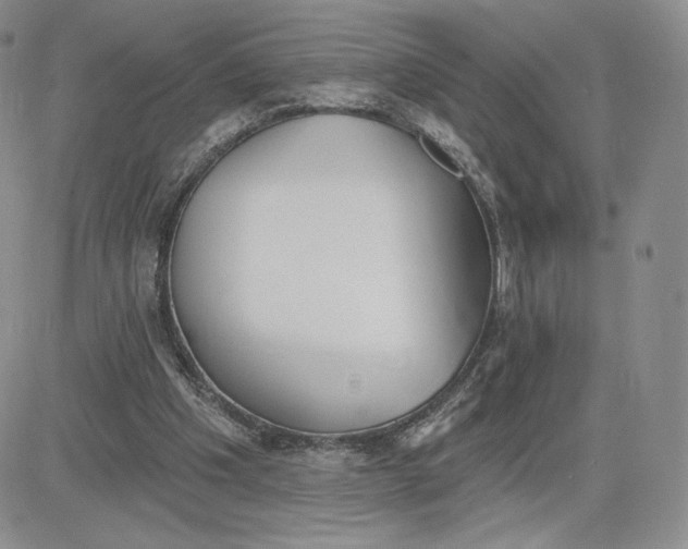 X0000081320201200701251816