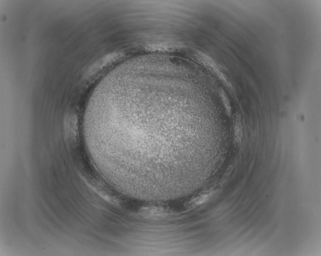X0000081320211200701251816