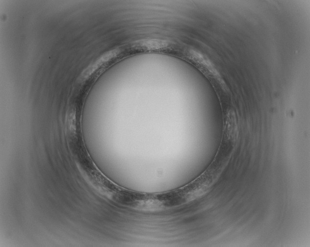 X0000081320212200701251816