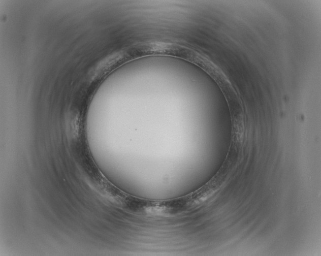 X0000081320216200701251816