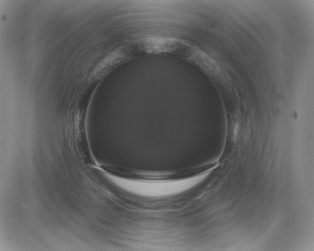 X0000081320219200701251816