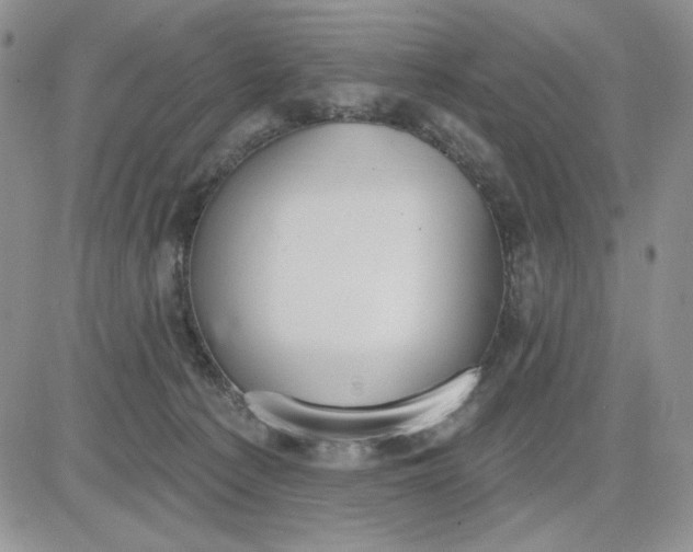 X0000081320225200701251816