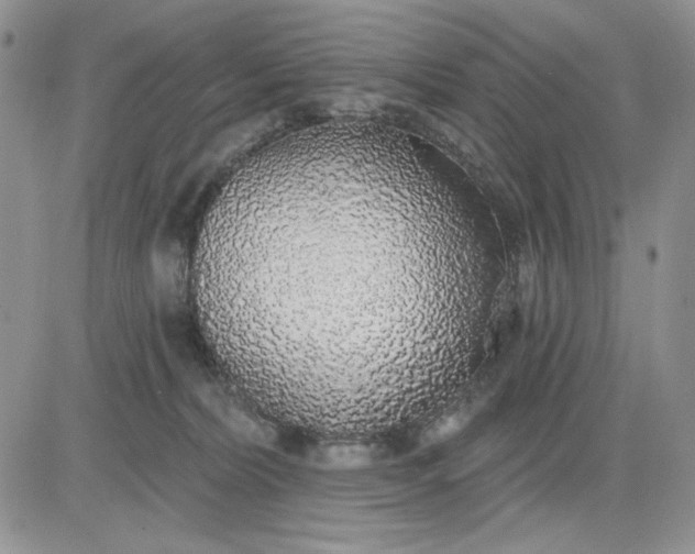 X0000081320228200701251816