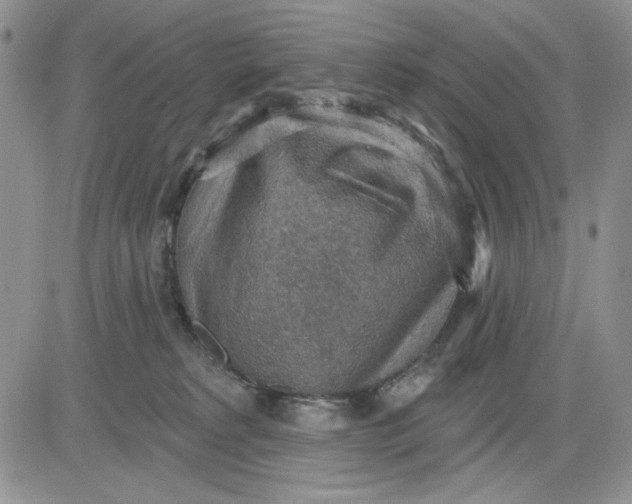 X0000081320229200701251816