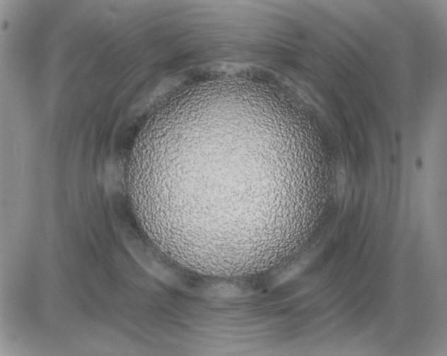 X0000081320236200701251816