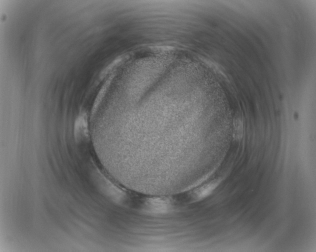 X0000081320238200701251816