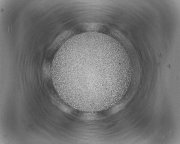 X0000081320240200701251816