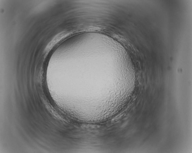 X0000081320242200701251815