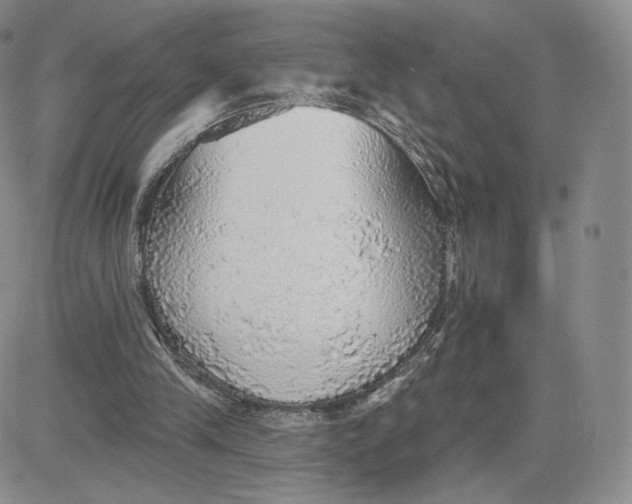 X0000081320245200701251815